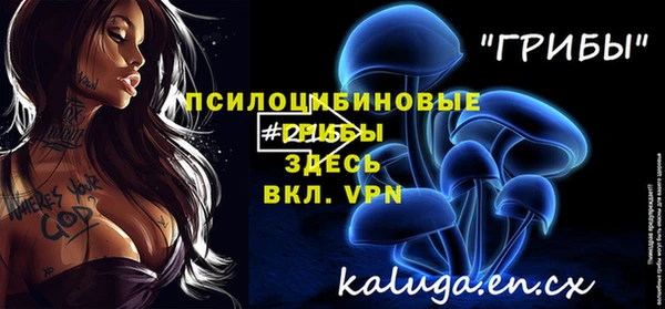 первитин Арсеньев